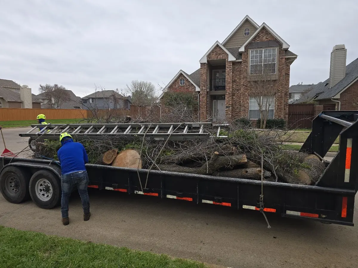 Expert Tree Fertilization with proper safety equipment in Middlesex